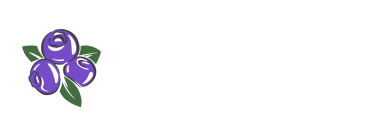 Borůvky Libá logo